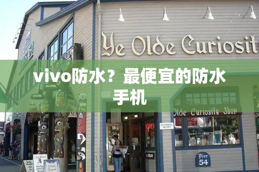 vivo防水？最便宜的防水手机
