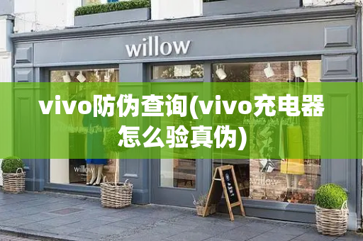 vivo防伪查询(vivo充电器怎么验真伪)