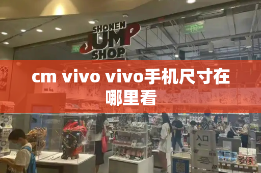 cm vivo vivo手机尺寸在哪里看-第1张图片-星选测评