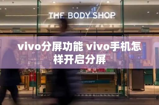 vivo分屏功能 vivo手机怎样开启分屏-第1张图片-星选测评