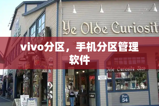 vivo分区，手机分区管理软件