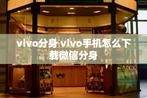 vivo分身 vivo手机怎么下载微信分身-第1张图片-星选测评