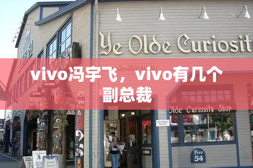 vivo冯宇飞，vivo有几个副总裁