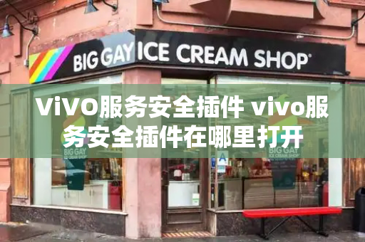 ViVO服务安全插件 vivo服务安全插件在哪里打开