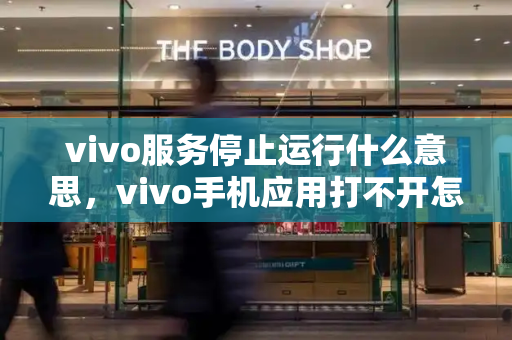 vivo服务停止运行什么意思，vivo手机应用打不开怎么回事