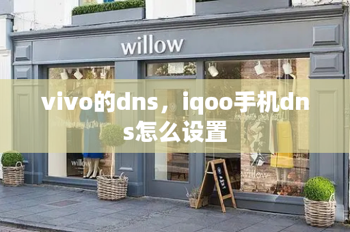 vivo的dns，iqoo手机dns怎么设置-第1张图片-星选测评