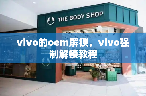 vivo的oem解锁，vivo强制解锁教程