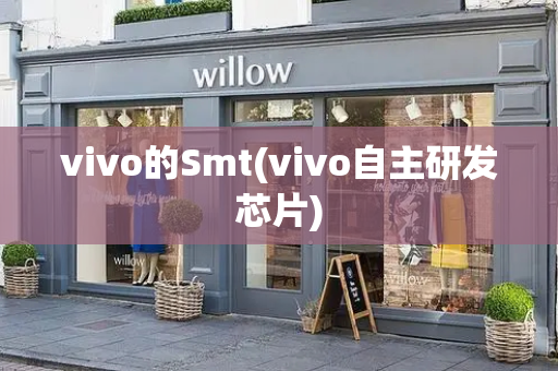 vivo的Smt(vivo自主研发芯片)