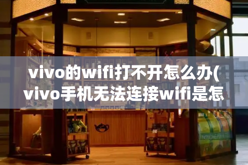 vivo的wifi打不开怎么办(vivo手机无法连接wifi是怎么回事)