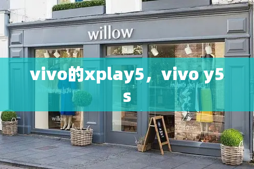 vivo的xplay5，vivo y5s