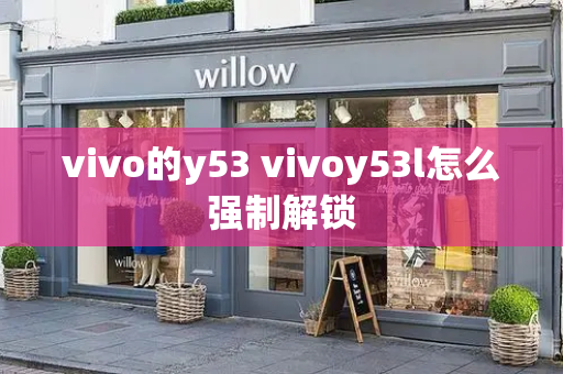 vivo的y53 vivoy53l怎么强制解锁