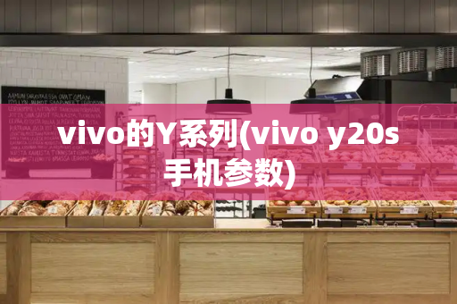 vivo的Y系列(vivo y20s手机参数)