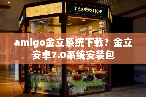 amigo金立系统下载？金立安卓7.0系统安装包-第1张图片-星选测评
