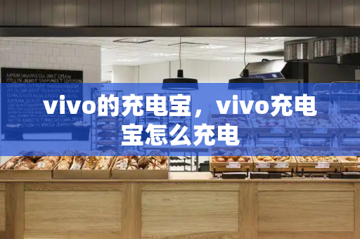 vivo的充电宝，vivo充电宝怎么充电-第1张图片-星选测评