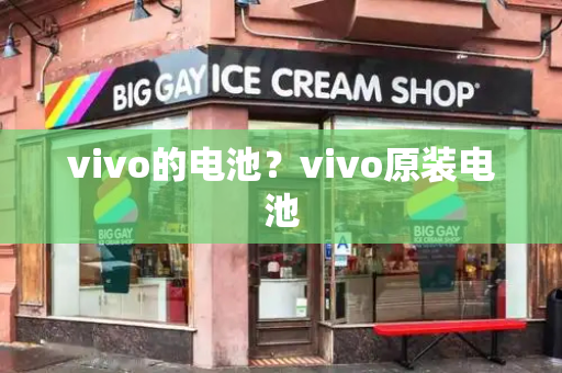 vivo的电池？vivo原装电池