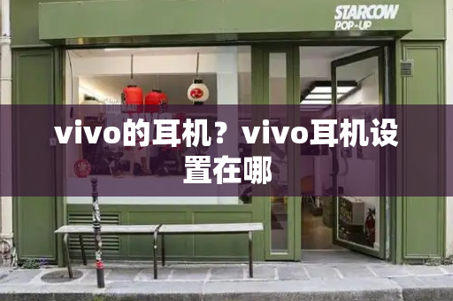 vivo的耳机？vivo耳机设置在哪-第1张图片-星选测评