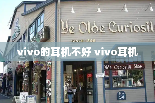 vivo的耳机不好 vivo耳机-第1张图片-星选测评