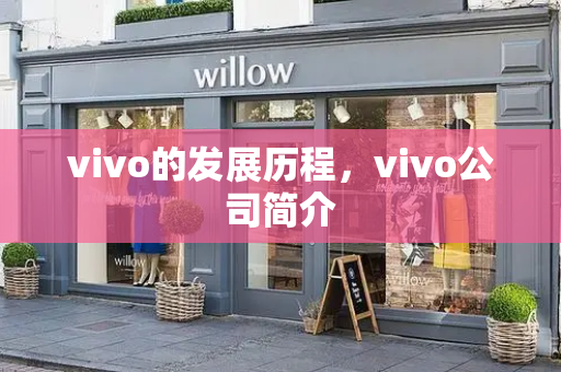 vivo的发展历程，vivo公司简介