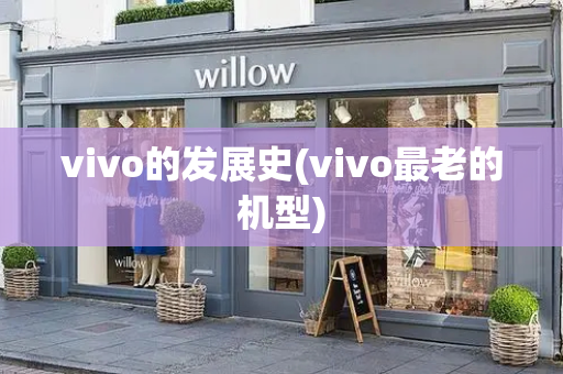 vivo的发展史(vivo最老的机型)-第1张图片-星选测评