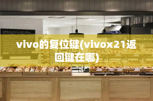 vivo的复位键(vivox21返回键在哪)