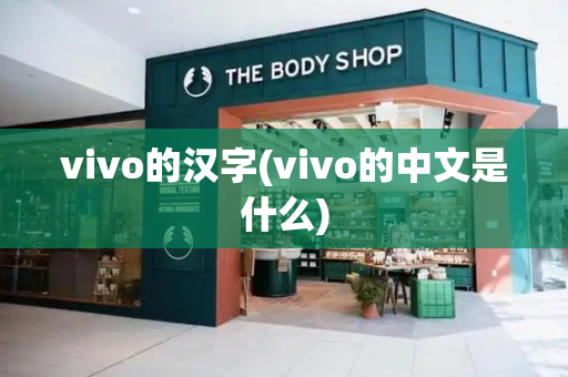 vivo的汉字(vivo的中文是什么)-第1张图片-星选测评