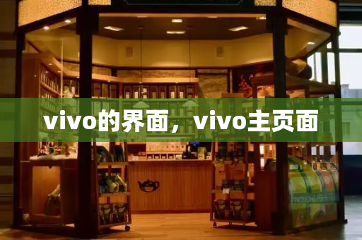 vivo的界面，vivo主页面