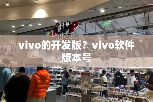 vivo的开发版？vivo软件版本号