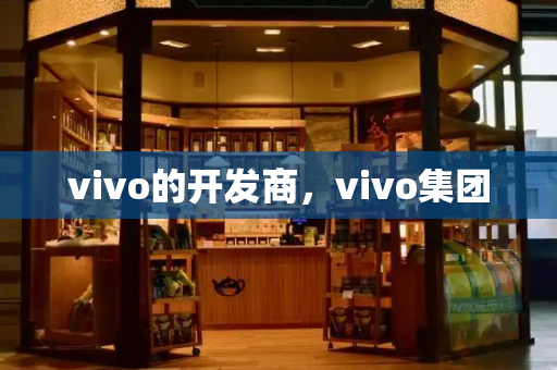 vivo的开发商，vivo集团-第1张图片-星选测评