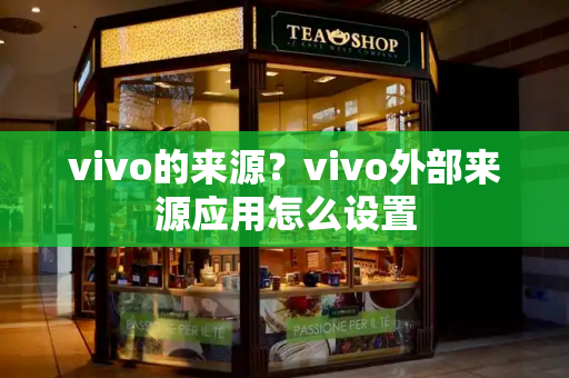vivo的来源？vivo外部来源应用怎么设置
