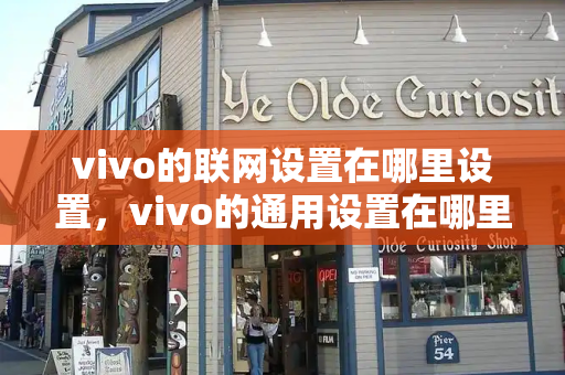 vivo的联网设置在哪里设置，vivo的通用设置在哪里-第1张图片-星选测评