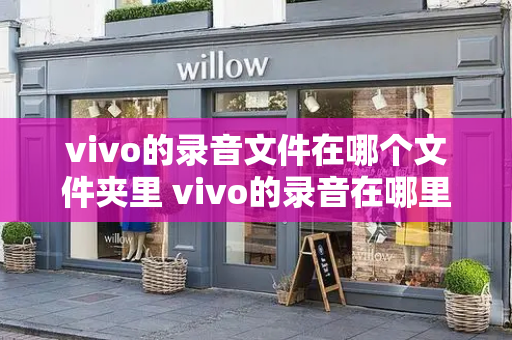 vivo的录音文件在哪个文件夹里 vivo的录音在哪里找出来-第1张图片-星选测评