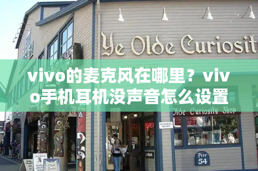 vivo的麦克风在哪里？vivo手机耳机没声音怎么设置-第1张图片-星选测评