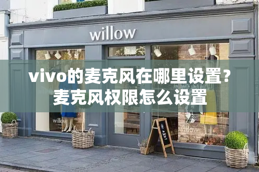 vivo的麦克风在哪里设置？麦克风权限怎么设置