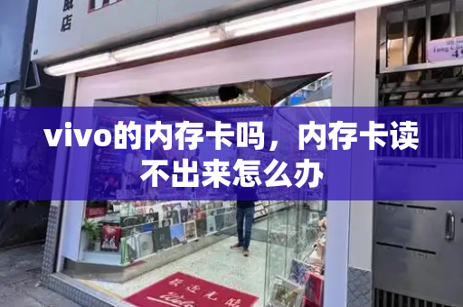 vivo的内存卡吗，内存卡读不出来怎么办