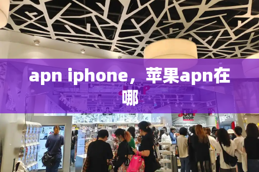 apn iphone，苹果apn在哪-第1张图片-星选测评