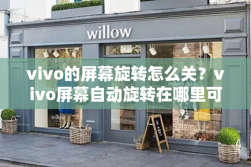 vivo的屏幕旋转怎么关？vivo屏幕自动旋转在哪里可以关闭-第1张图片-星选测评