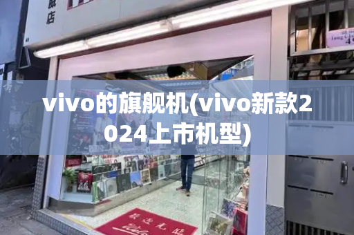 vivo的旗舰机(vivo新款2024上市机型)