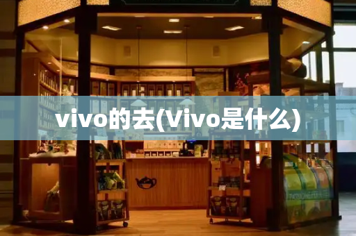 vivo的去(Vivo是什么)-第1张图片-星选测评