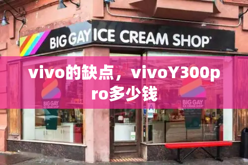 vivo的缺点，vivoY300pro多少钱