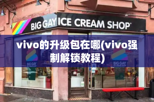 vivo的升级包在哪(vivo强制解锁教程)-第1张图片-星选测评
