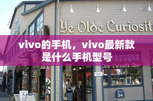 vivo的手机，vivo最新款是什么手机型号