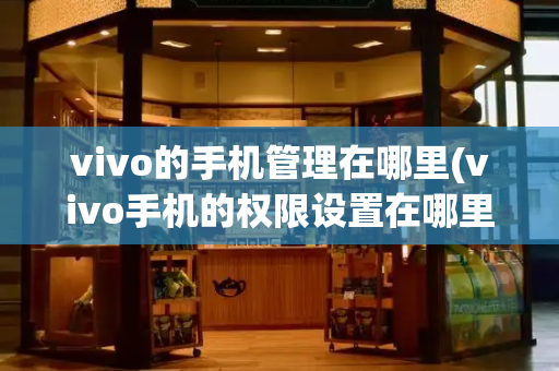 vivo的手机管理在哪里(vivo手机的权限设置在哪里)-第1张图片-星选测评
