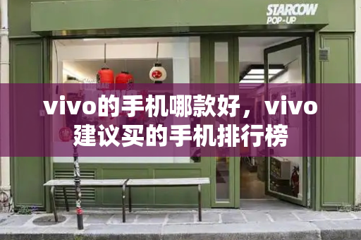 vivo的手机哪款好，vivo建议买的手机排行榜-第1张图片-星选测评