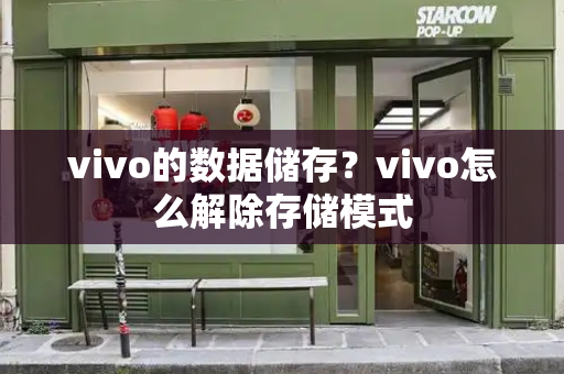 vivo的数据储存？vivo怎么解除存储模式