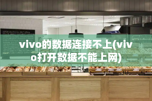 vivo的数据连接不上(vivo打开数据不能上网)