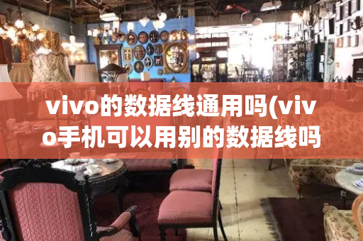 vivo的数据线通用吗(vivo手机可以用别的数据线吗)