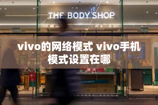 vivo的网络模式 vivo手机模式设置在哪