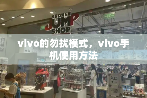 vivo的勿扰模式，vivo手机使用方法-第1张图片-星选测评