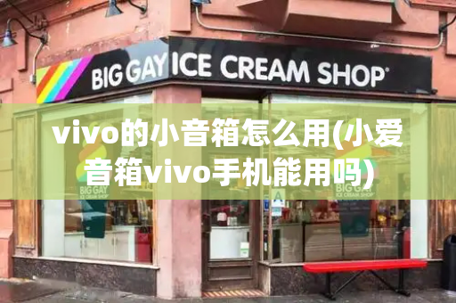 vivo的小音箱怎么用(小爱音箱vivo手机能用吗)