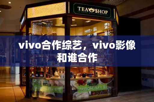 vivo合作综艺，vivo影像和谁合作-第1张图片-星选测评